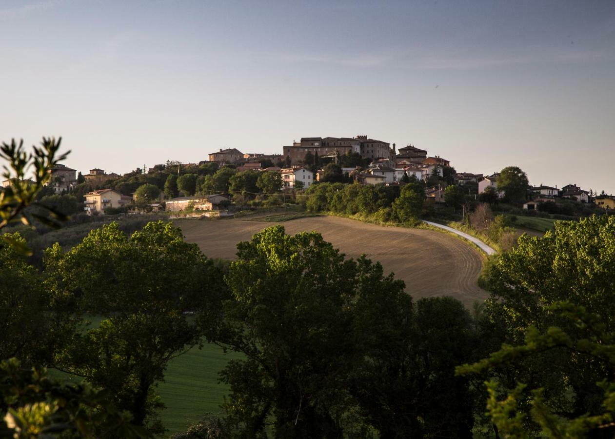 Grande Villa Storica Per Vacanze Con Giardino Privato E Piscina Ostra Eksteriør bilde