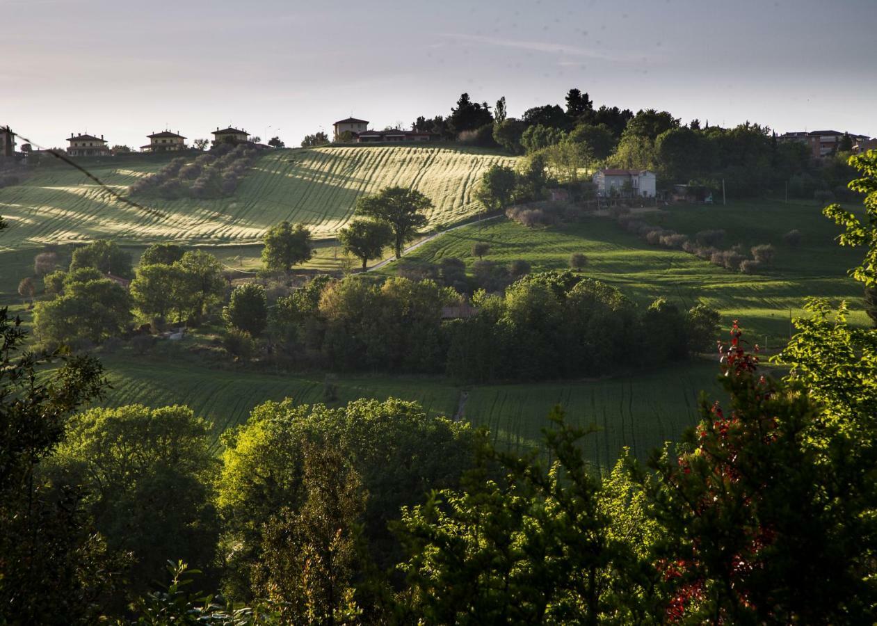 Grande Villa Storica Per Vacanze Con Giardino Privato E Piscina Ostra Eksteriør bilde