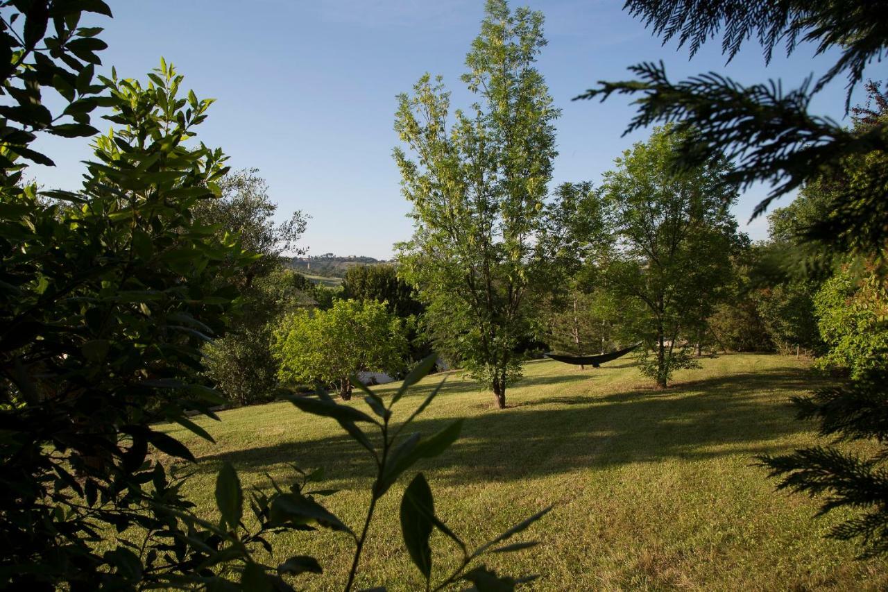 Grande Villa Storica Per Vacanze Con Giardino Privato E Piscina Ostra Eksteriør bilde