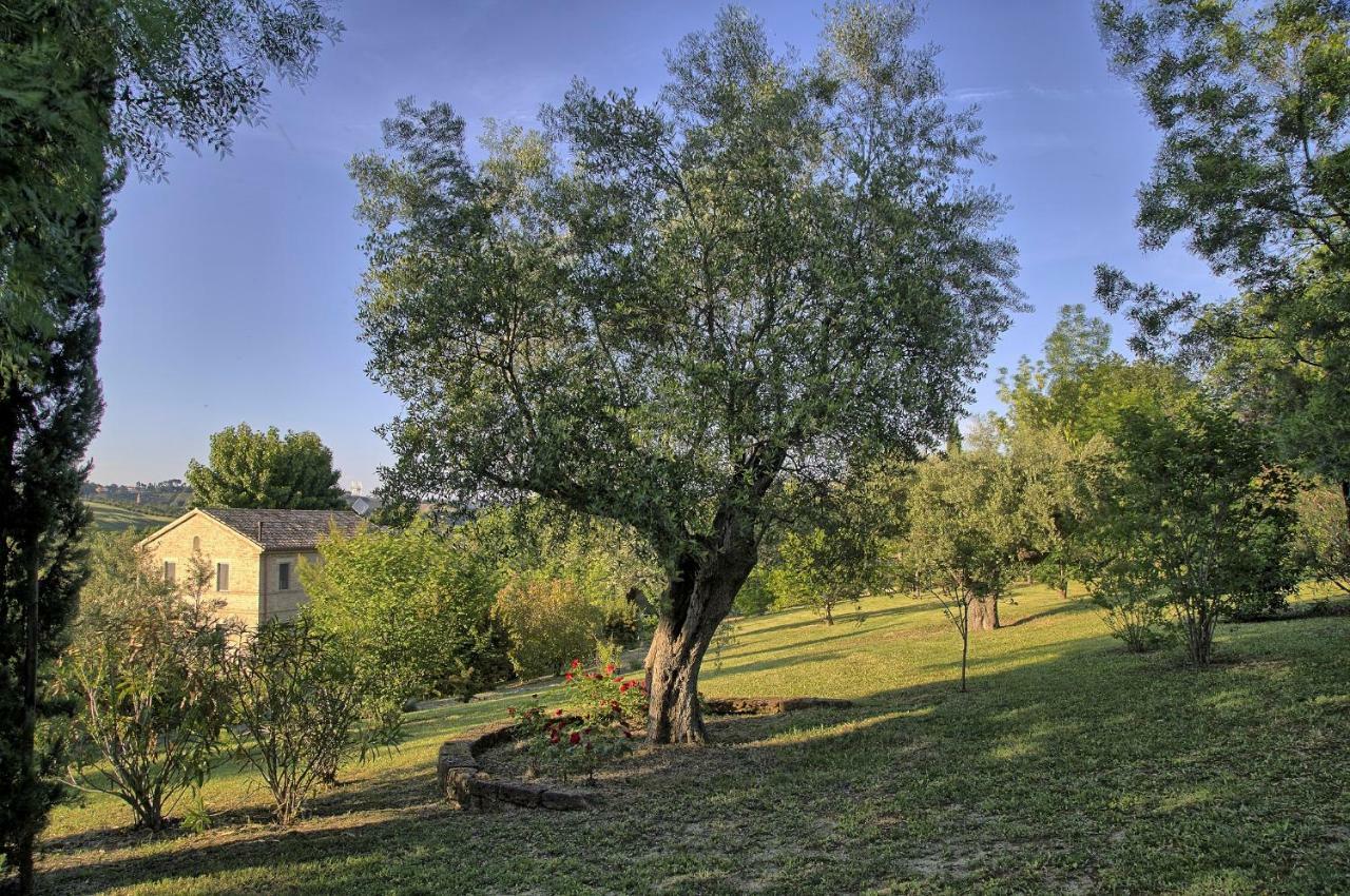 Grande Villa Storica Per Vacanze Con Giardino Privato E Piscina Ostra Eksteriør bilde